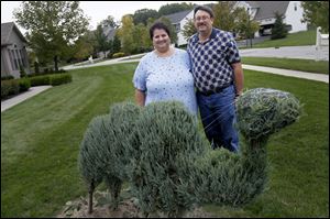 A joke of having a camel in the yard turned into reality. Now the couple also has Cecil the camel, a topiary in the front of their house.