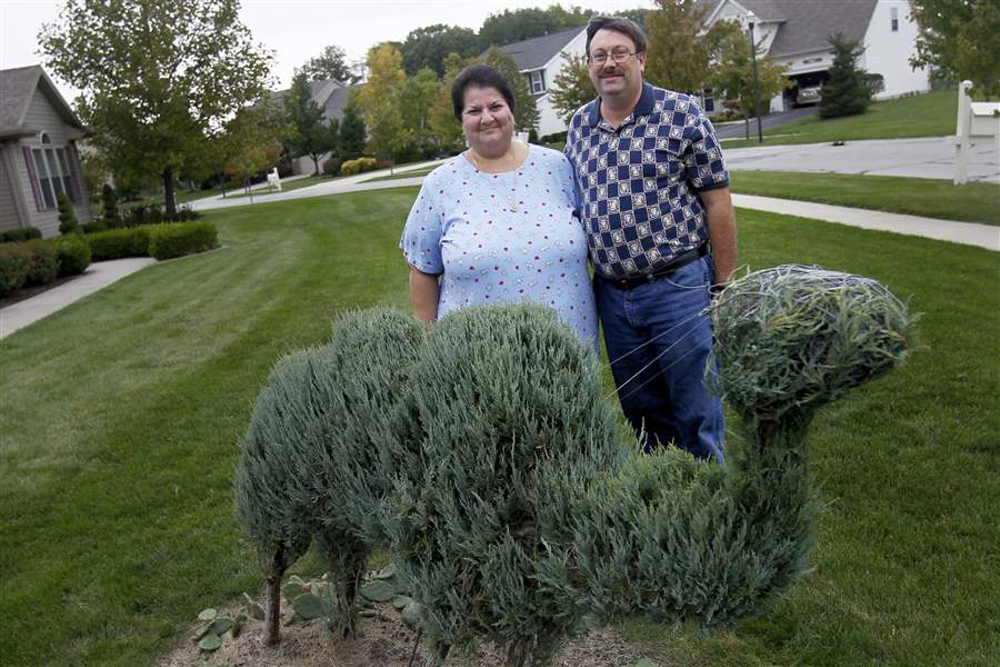 weed-it-and-reap-mulkey-camel