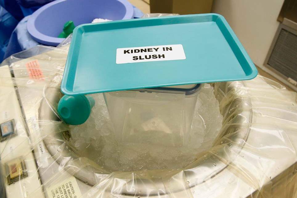 UTMC-kidney-transplant-tour-container-cover