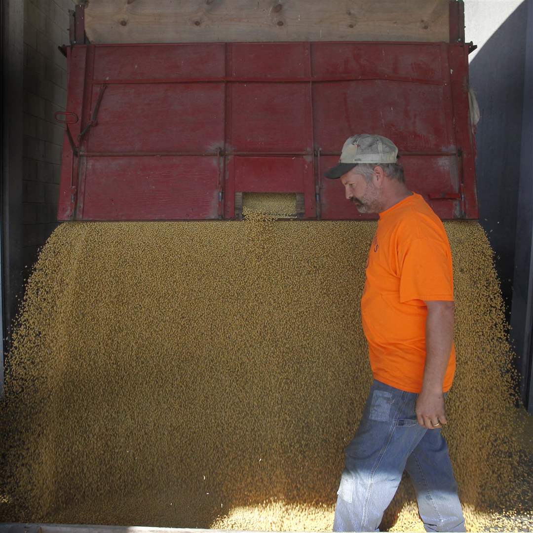 Portage-Ohio-farmer-Rod-Canterbury-unloads-soy-beans