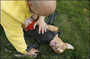 Saturday's event included a free rabies clinic in partnership with Humane Ohio, food, pinatas for children and the latest installment of the annual costume contest. The free event featured several dogs who are up for adoption.