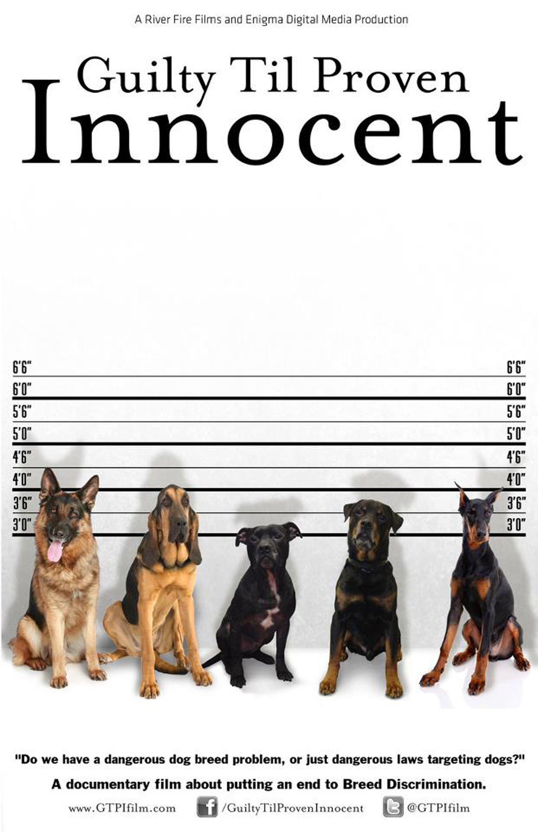 Film chronicles journey to end breedspecific dog restrictions The Blade