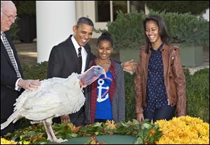 President Obama, with daughters Sasha, center, and Malia, right, carries on the Thanksgiving tradition of saving a turkey from the dinner table with a 