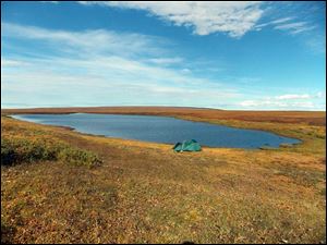 Caribou hunt base camp, above the timberline .