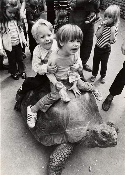 cty-TORTOISE-RIDE-AT-ZOO-jpg
