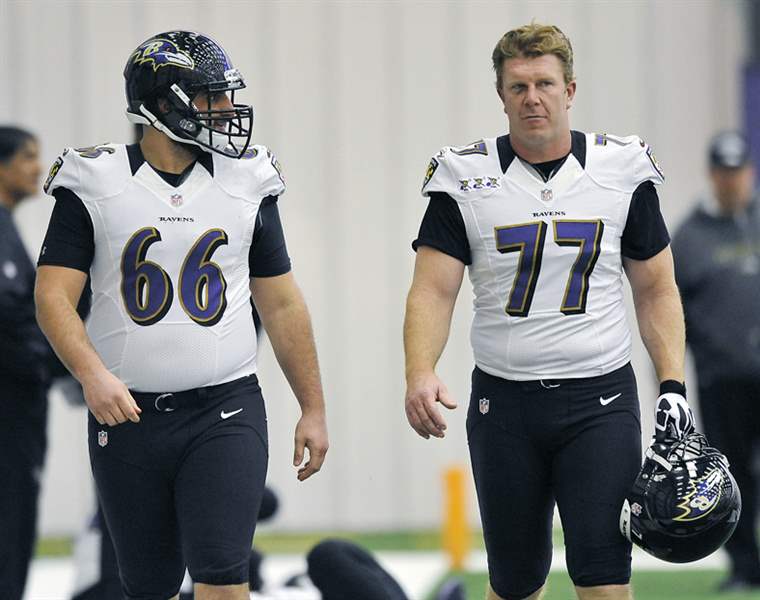 Ravens-football-Gino-Gradkowski