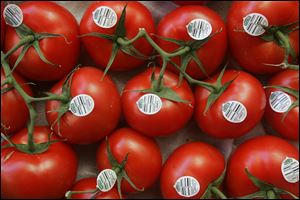 A proposed agreement on fresh tomatoes imported from Mexico would strengthen anti-dumping enforcement and reset minimum wholesale prices, the Commerce Department said. The agreement with Mexico's tomato industry would suspend an investigation initiated after Florida tomato growers complained that Mexican producers were selling fresh tomatoes for less than the production cost.