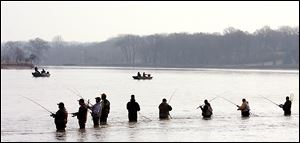 Fishermen will converge on the Maumee River, among other sites, again this year in near shoulder-to-shoulder fashion trying to land a prize walleye.