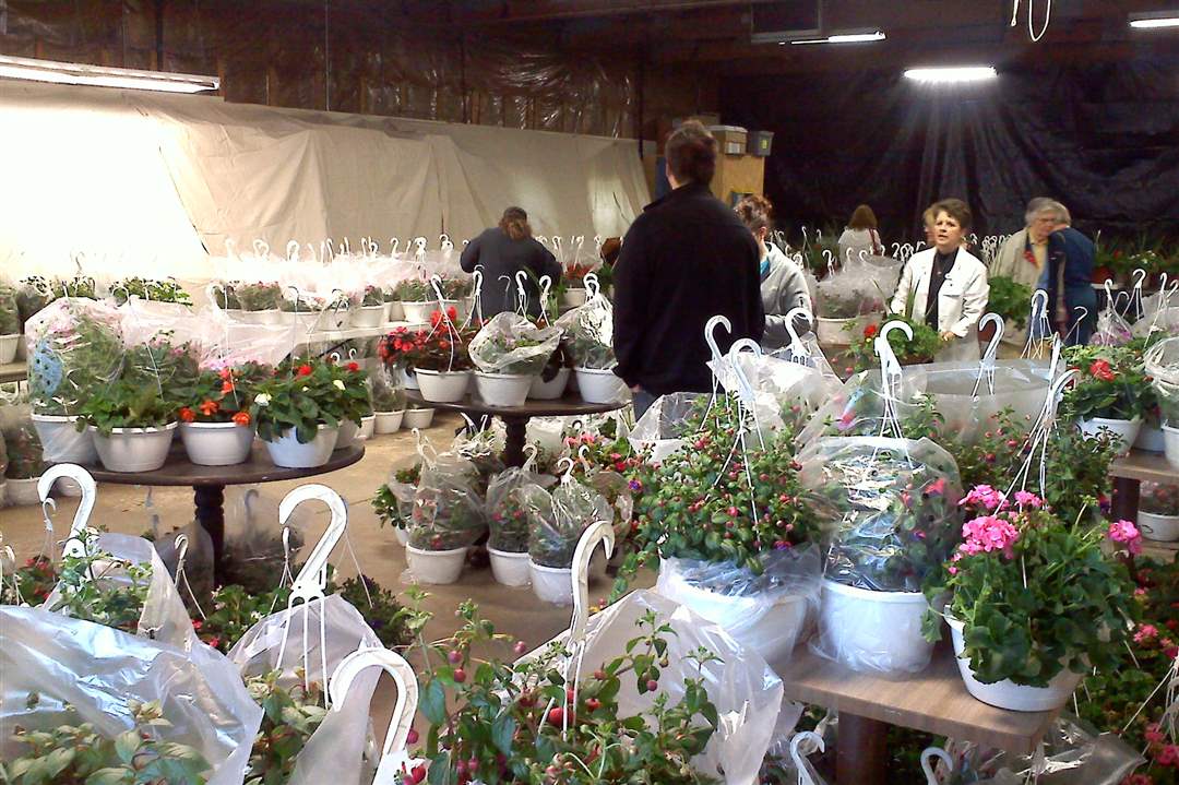 Flower Hospital Flower Sale The Blade