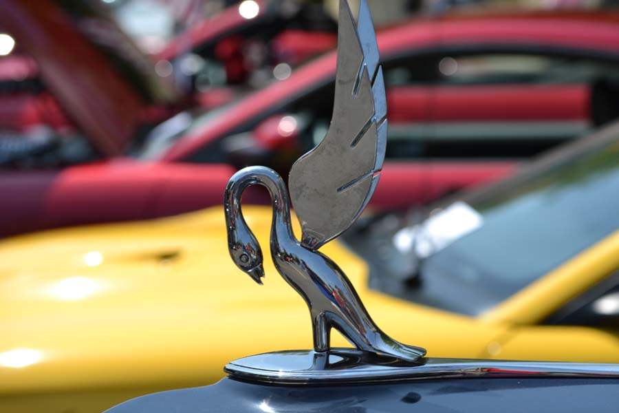 cb4417aa-058a-443e-ab9a-192865f21fad