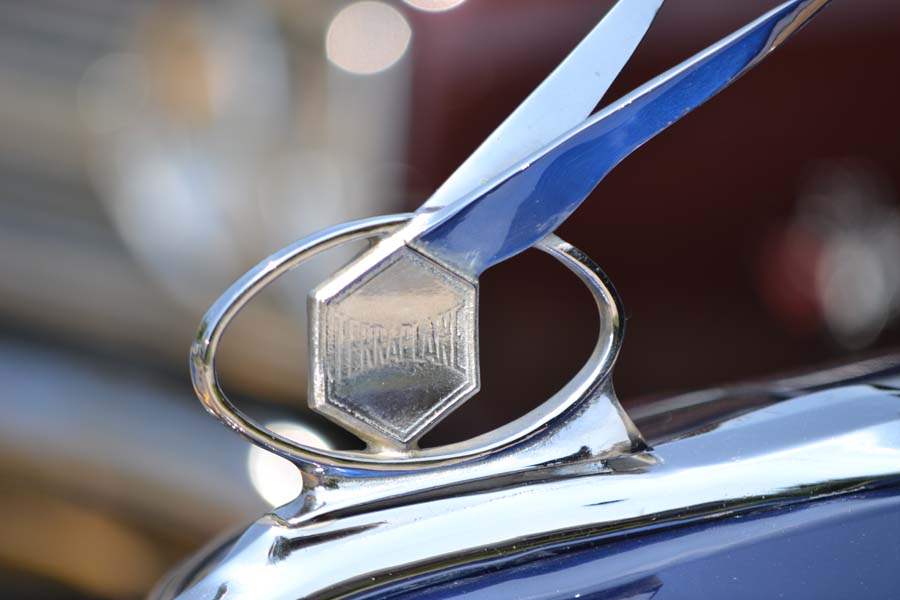 d09158c4-fbc3-4a79-b366-3d4e24486caa