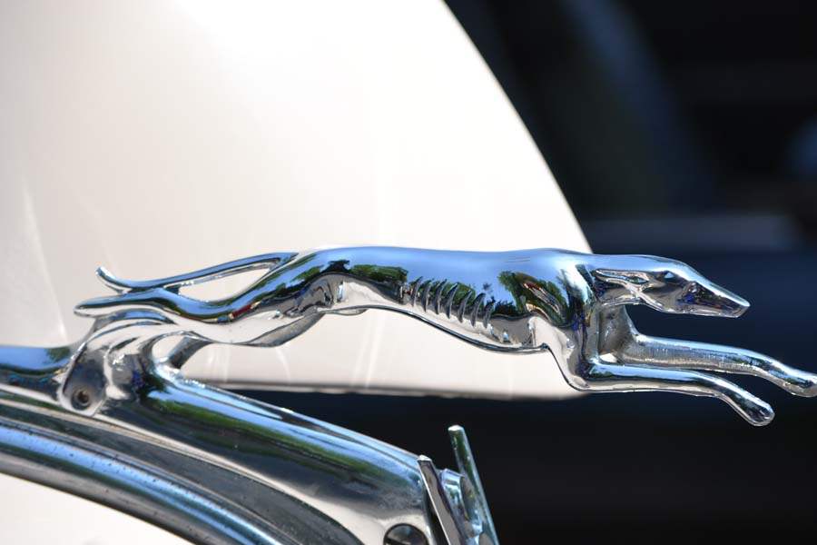 dbe9847d-0117-4e79-a533-04452b0ef22e