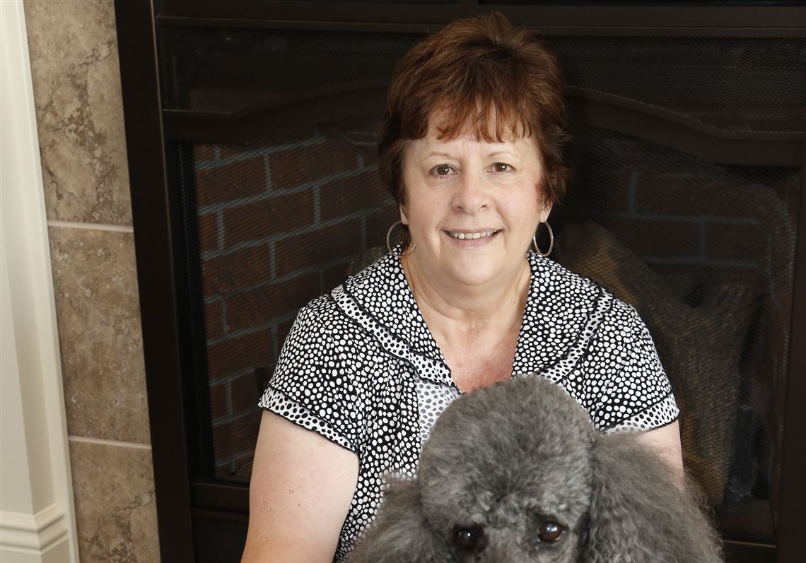 hip dysplasia poodle