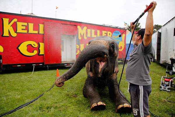 Armando-Loyal-gives-Del-Rita-an-elephant-a