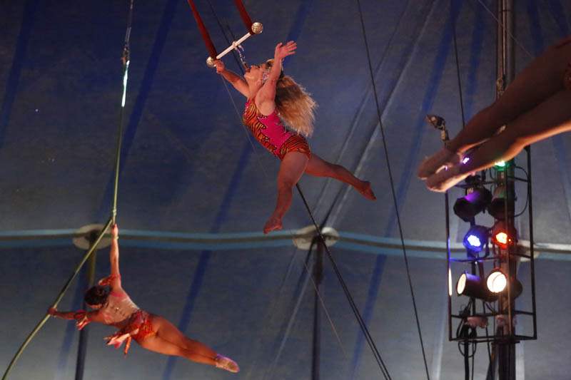 Kelly Miller Circus Comes To Sylvania The Blade Kelly Miller Circus Comes To Sylvania The Blade