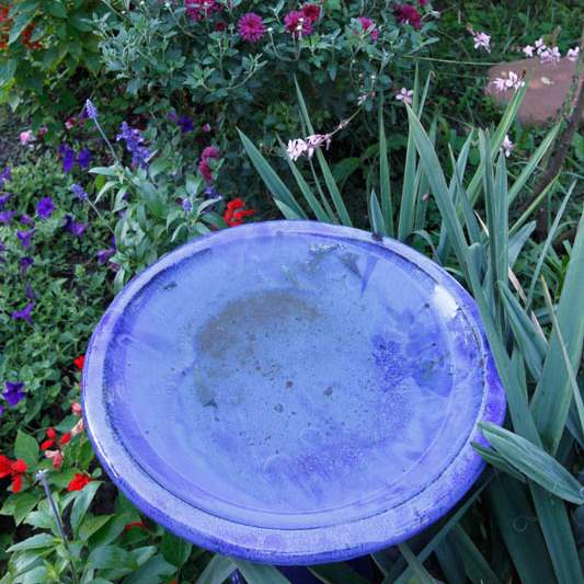 A-birdbath-in-the-garden