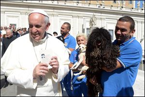 Pope Francis is shown a dog by a member of the Federazione Italiana Sport Cinofili (Italian Federation of Canine' Sports), following his weekly general audience at the Vatican.