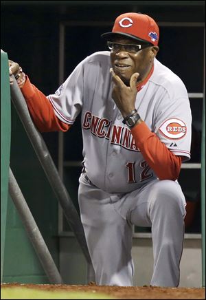 The Reds decided to replace Dusty Baker today, ousting the manager who led them to their best stretch of winning since the Big Red Machine but couldnt get them past the first round of the postseason. 