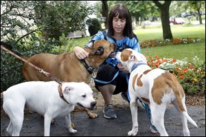 Dog advocate Jean Keating, shown with, from left, Wendy, 3, Milo, 4, and Chief, 8 months, says new state rules provide little incentive to get a lifetime license.