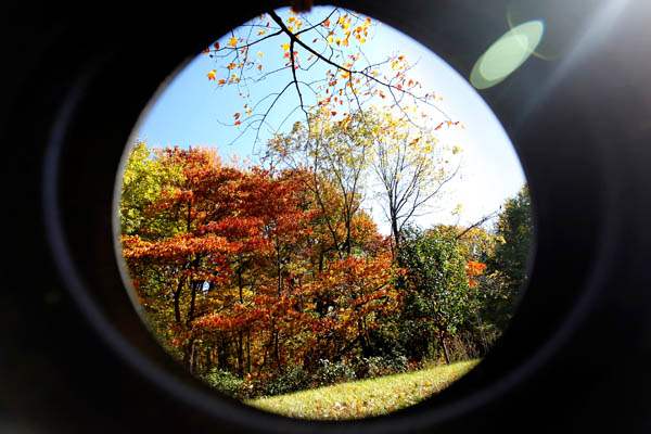 A-burst-of-colorful-leaves-seen-through-a-tire-swi