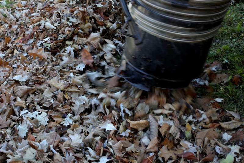 PBG-leaves-large-hose