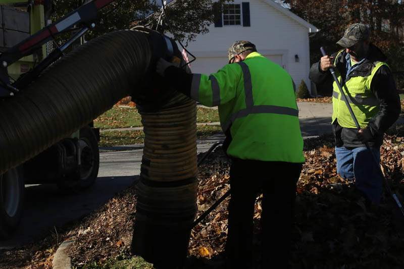 PBG-leaf-Jody-Sheets