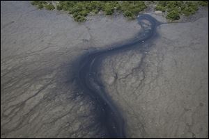 Untreated sewage creates a dark streak through the water of Guanabara Bay in Rio de Janeiro, Brazil, tuesday.