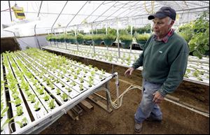 Earl Hafner talks about growing vegetables in his aquaponics greenhouse on his farm, near Panora, Iowa.