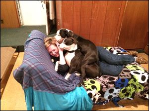 Veronica McKee at home with pups Jermaine, top, and Jeffrey, bottom. 