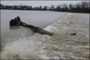 An uprooted tree is swept over the Grand Rapids Dam at Mary Jane Thurston State Park in Grand Rapids, Ohio. The Maumee River was at flood stage only at Waterville Sunday evening, it was expected to rise today. Flooding was expected to be moderate at Grand Rapids and Waterville.