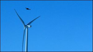 A golden eagle flies over a  wind turbine on Duke energy's top of the world wind farm in Converse County, Wyo. Until the rule was finalized earlier this month, operators installing machines close to known eagle populations had to obtain new permits once every five years.