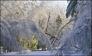 Trees frozen in ice cripple a section of power lines on Maplehurst Drive  in Belgrade, Maine, Tuesday.