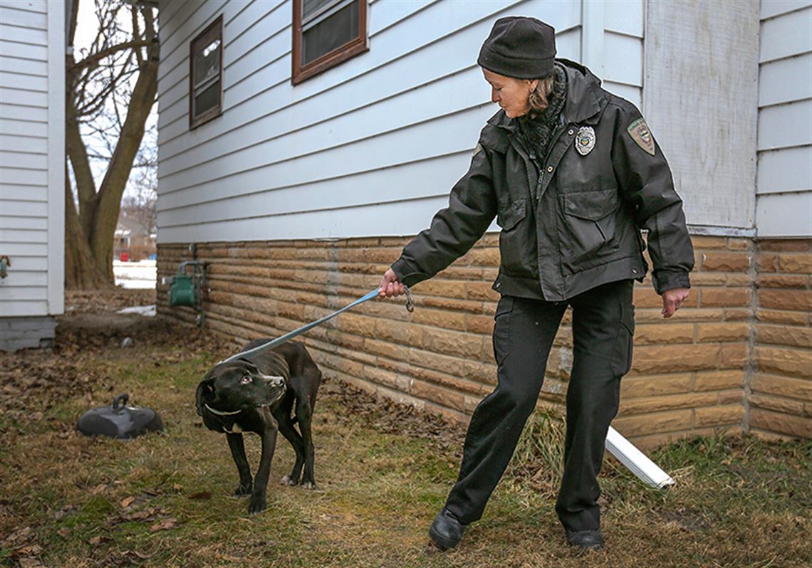 Animal cruelty officers confront neglect, myth | The Blade