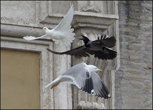 Two white doves were sent fluttering into the air as a peace gesture by Italian children flanking Pope Francis Sunday at an open studio window of the Apostolic Palace, as tens of thousands of people watched in St. Peter's Square below. 