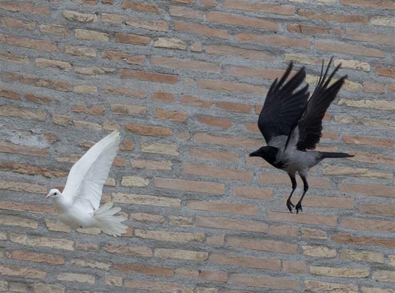Vatican-Pope-Doves
