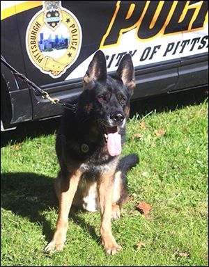 Rocco had served on the police force with Pittsburgh K-9 Officer Phil Lerza since 2010.