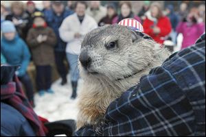 Holland Huckleberry slipped out of his burrow, saw many storms looming on the horizon, and called for six more weeks of winter during the Holland Huckleberry Day Celebration in Holland, Ohio.