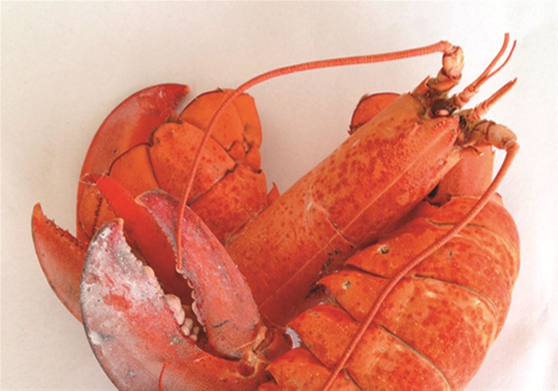 Hannah Lehmann's mixed-media piece ‘Hardened Hearts’ will be among her works on display in a show opening next week at Launch Pad Cooperative. The show also will exhibit work by Julia LaBay.