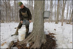 Jeff Dick empties sap from a tin bucket at Dick’s Maple Farm near Montpelier, Ohio.