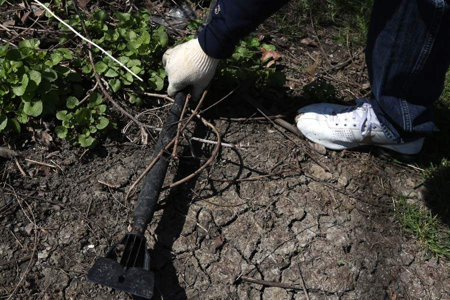 webpbg-cleanup19-windshield-scraper