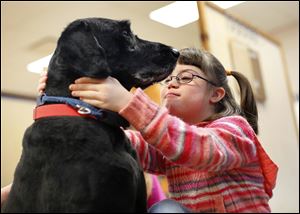 Janae O’Neal, 9, strokes Kramer, the resident pooch at Wauseon Middle School who spends his days visiting offices and classrooms.