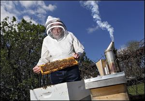 Barry Conrad inspects his honey bees at his Canal Winchester, Ohio, honey farm. 