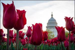 Congress gets back to work Monday, April 28, after a two-week vacation, and it’s looking like lawmakers will do what they do best: the bare minimum.