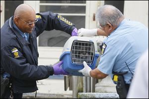 Members of the Toledo Police Department remove one of 35 dogs from 1802 Perth Street into the Toledo Area Humane Society's care.