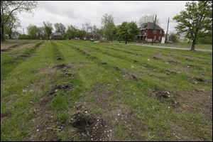 Vacant land in east Detroit is seen. A mass tree-planting effort is planned for Saturday as part of a large-scale project by a company that wants to put vacant Detroit land to agricultural use.