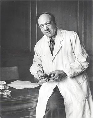 Paul Block, Jr., shown with a model of a thyroid compound, was a research chemist who understood the importance of biomedical research, a chief reason he supported the formation of a medical college. Gov. James Rhodes credited Mr. Block as a ‘‍moving force’ behind the establishment of Toledo’s medical college.