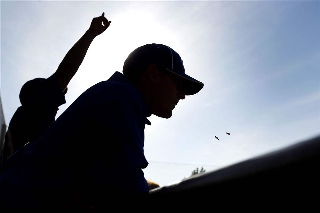 Southview-Anthony-Wayne-sunflower-seeds