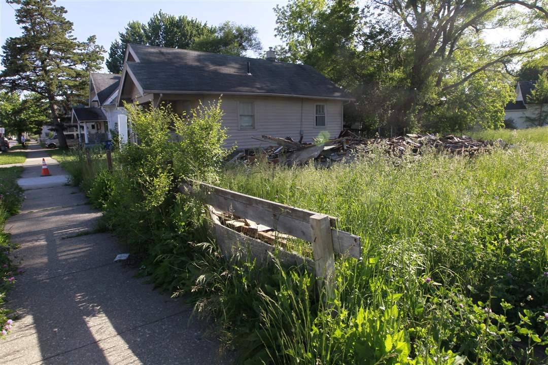 CTY-uglytoledo-south-tall-grass
