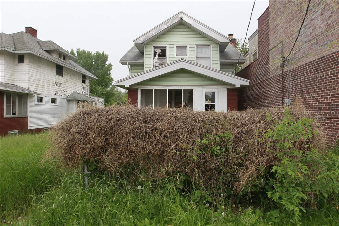 CTY-uglytoledo-south-growth