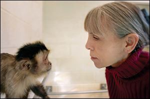 Claudia Thompson is a psychology professor at the College of Wooster who started Wooster’s monkey colony. The capuchin monkeys are retiring to Florida.